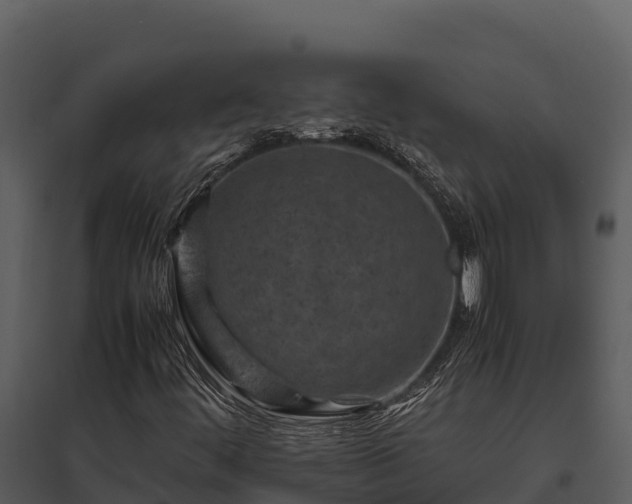 X0000095691444200801151138