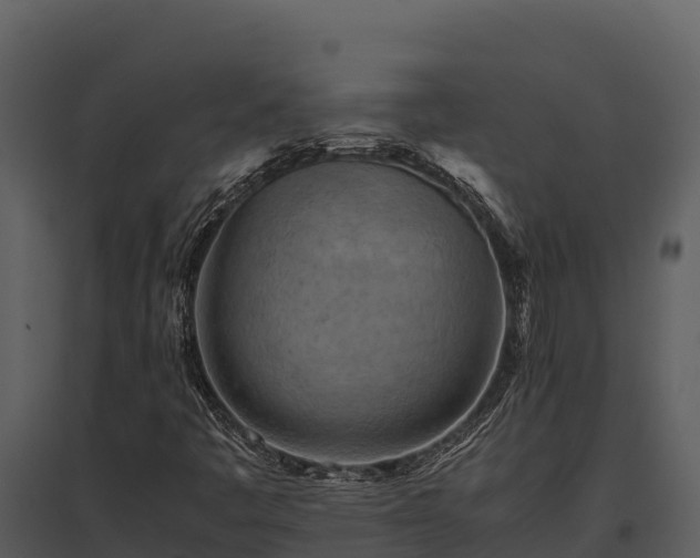 X0000095691445200801151138
