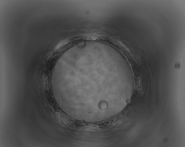 X0000095691446200801151138