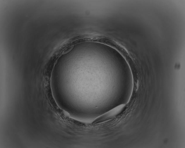 X0000095691447200801151138