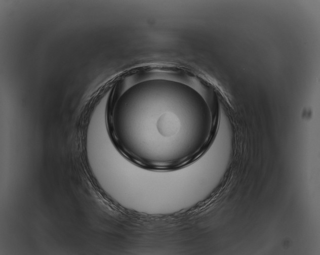 X0000095691448200801151138