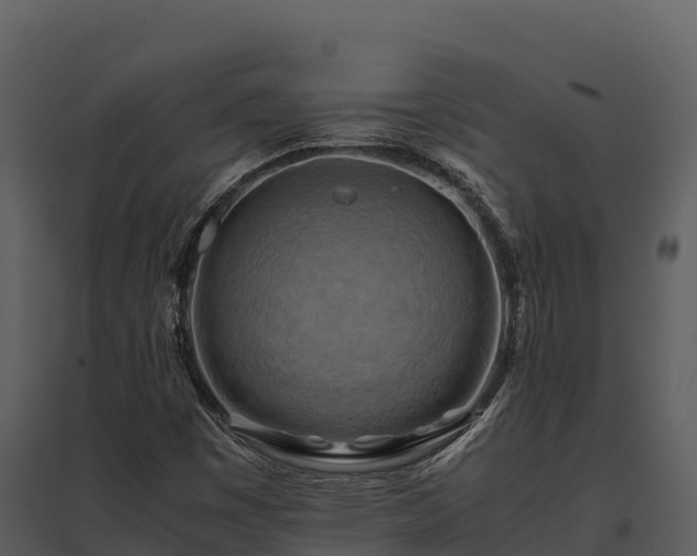X0000095691449200801151138