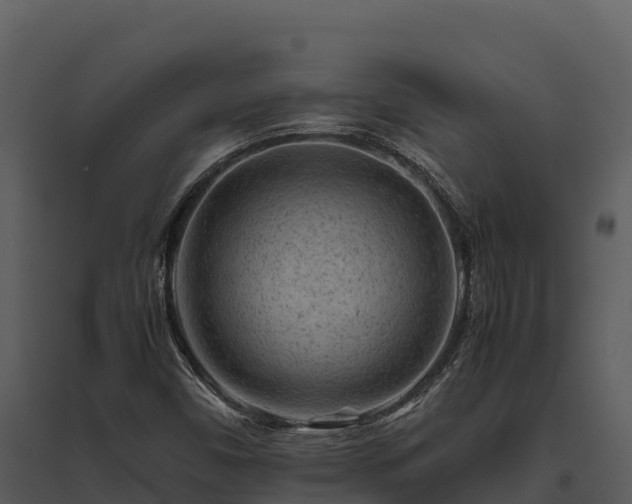 X0000095691450200801151138