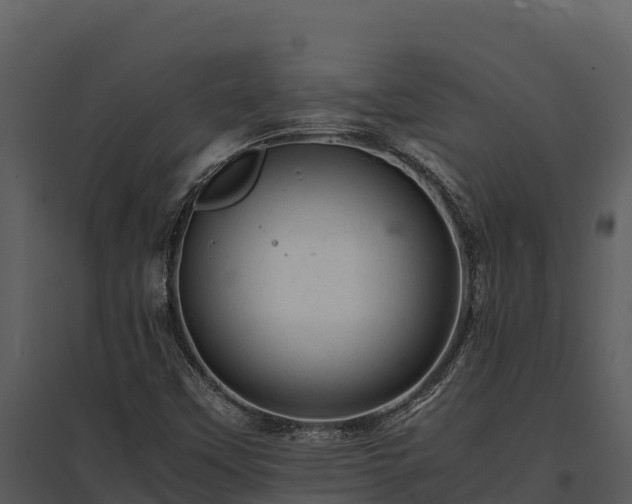 X0000095691451200801151138