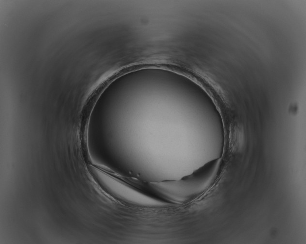 X0000095691452200801151137