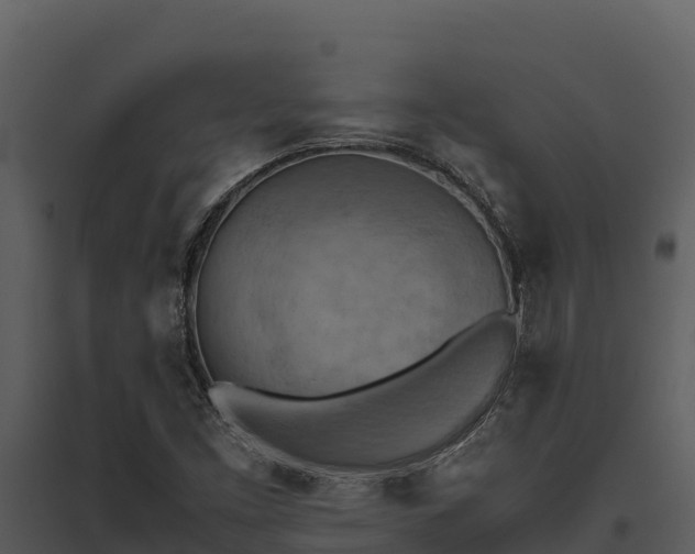 X0000095691453200801151137