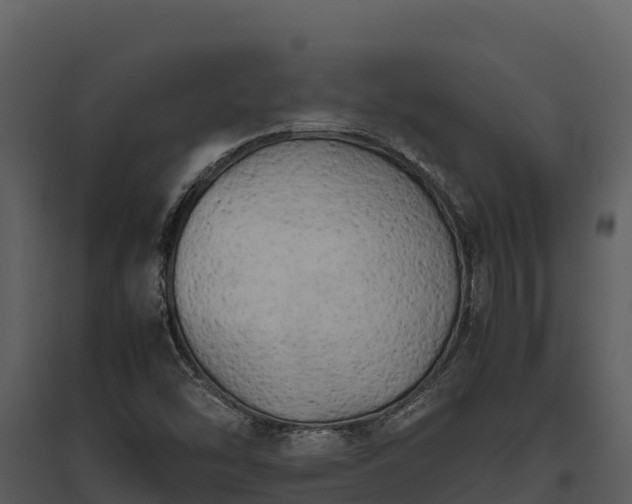 X0000095691454200801151137