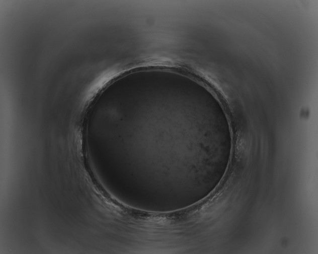 X0000095691455200801151137