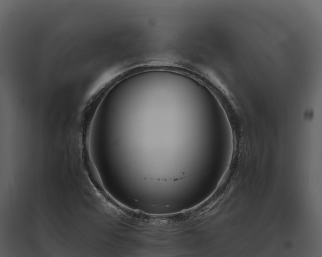 X0000095691456200801151137