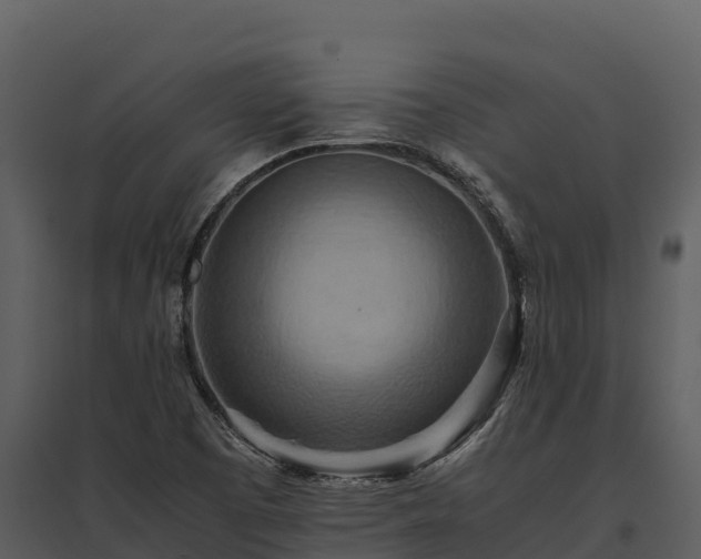 X0000095691457200801151137
