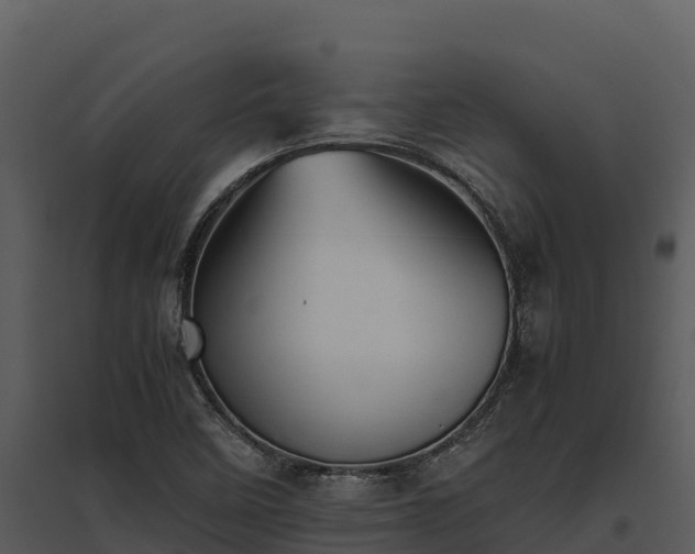 X0000095691458200801151137