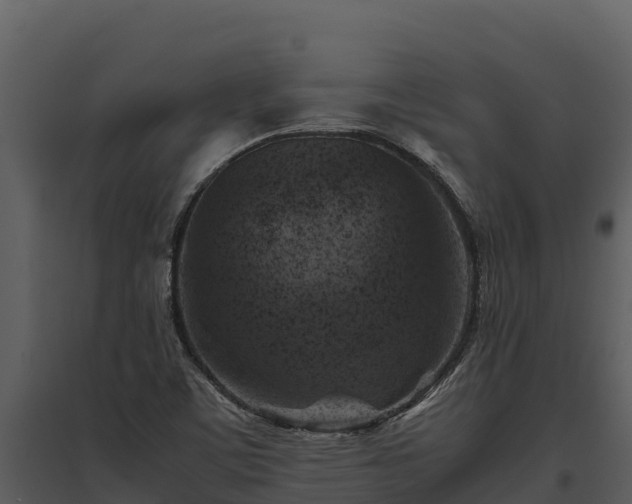 X0000095691459200801151137