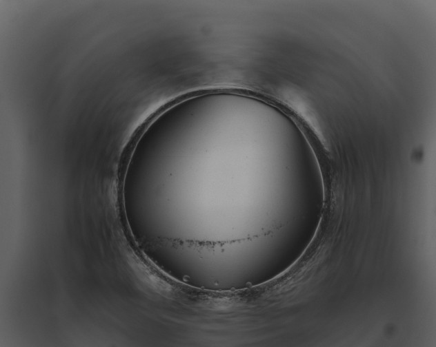 X0000095691460200801151137