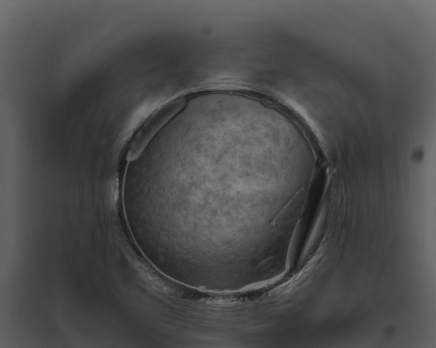 X0000095691461200801151137