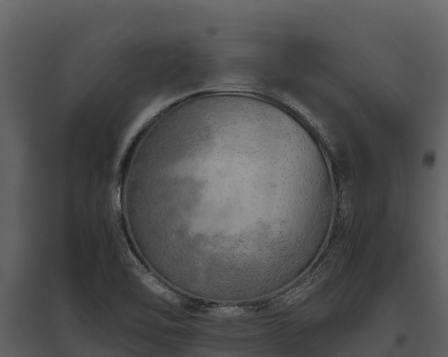 X0000095691462200801151137