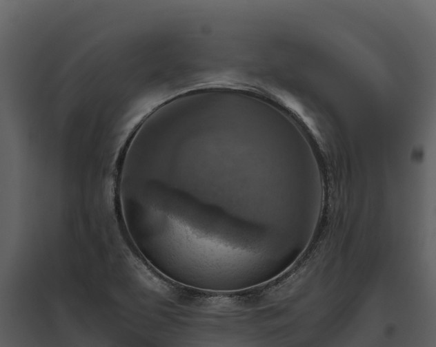 X0000095691463200801151137