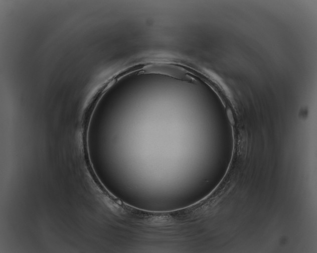 X0000095691464200801151137