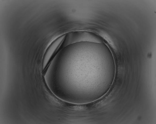 X0000095691465200801151137