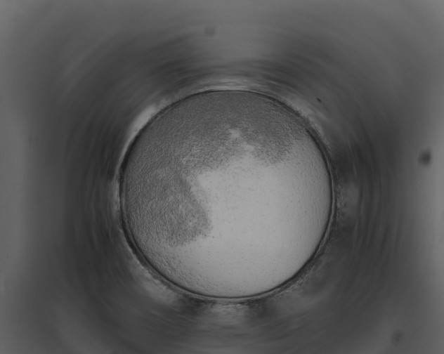 X0000095691466200801151137