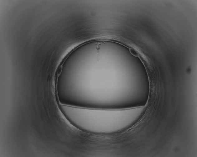 X0000095691468200801151137