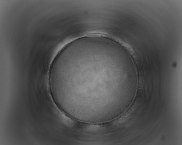 X0000095691470200801151137