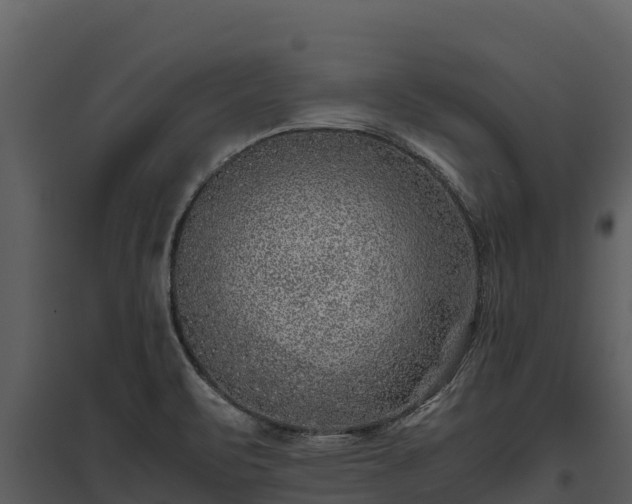 X0000095691471200801151137