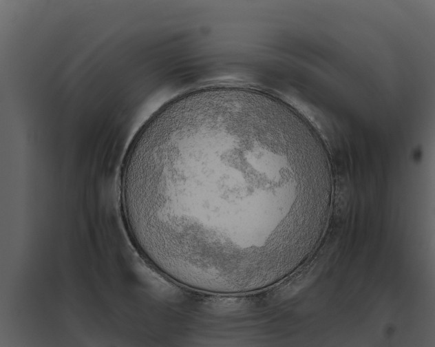 X0000095691474200801151137
