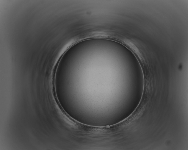 X0000095691475200801151137