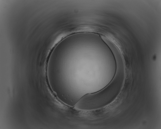 X0000095691477200801151137