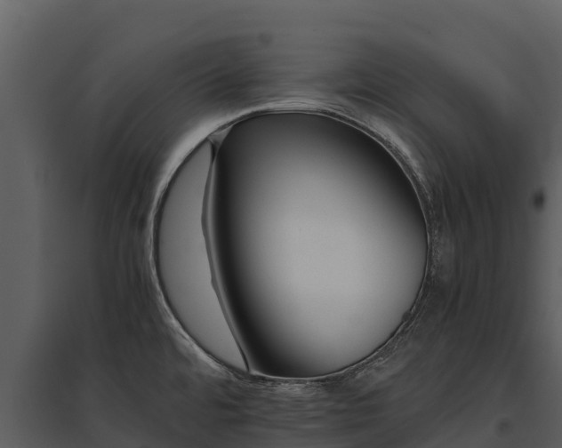 X0000095691480200801151137