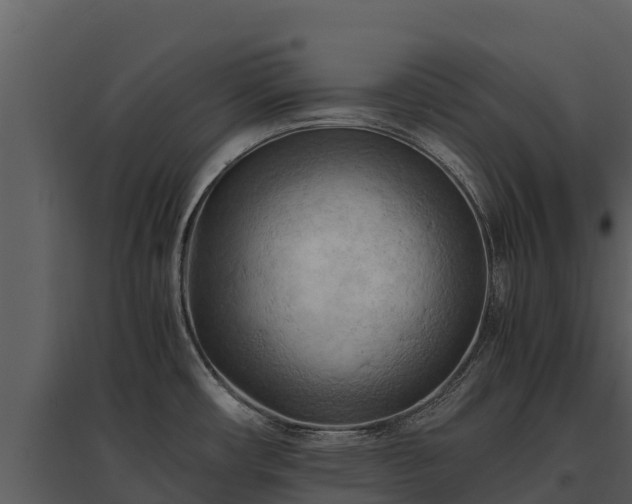 X0000095691482200801151137
