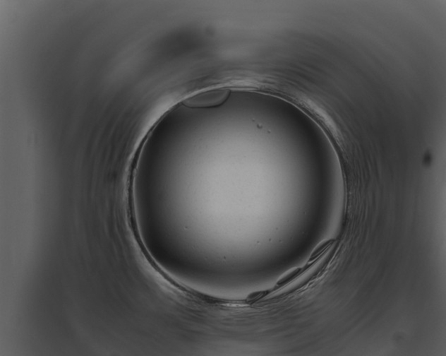 X0000095691483200801151137