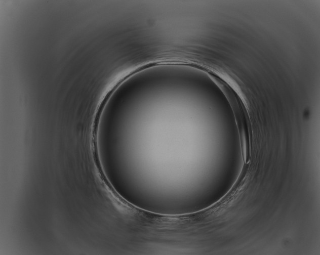 X0000095691485200801151137