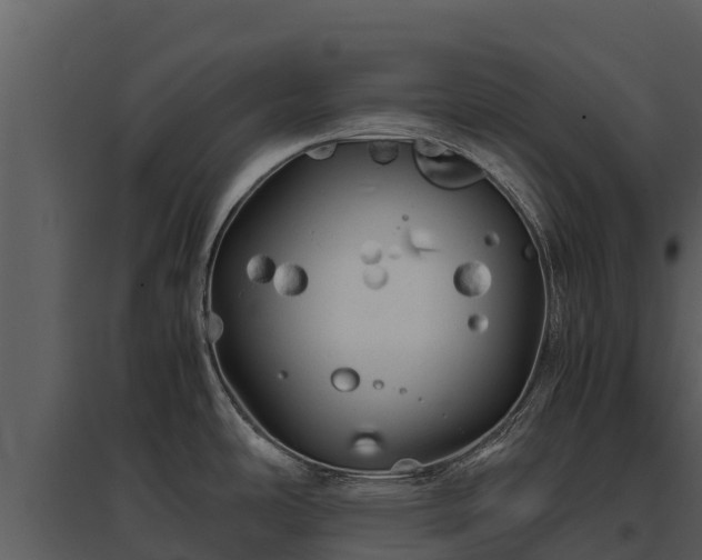 X0000095691486200801151137
