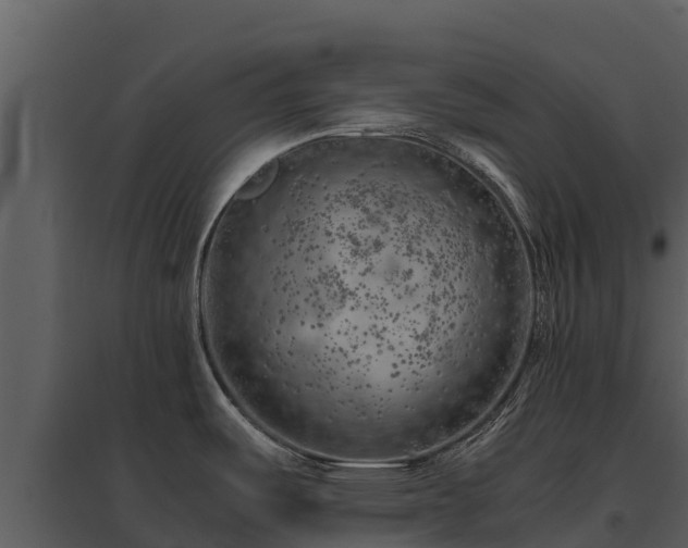 X0000095691487200801151137