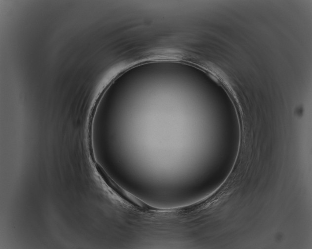 X0000095691488200801151137
