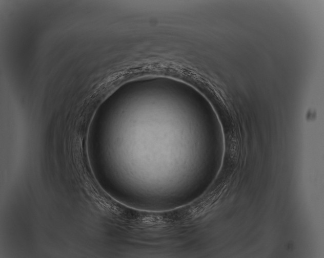 X0000095691489200801151136