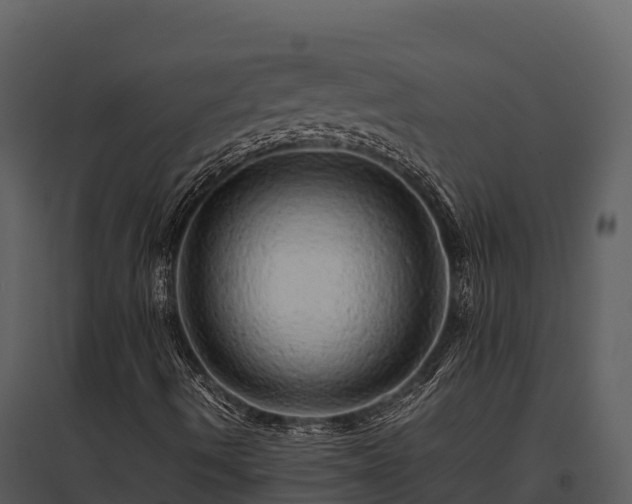 X0000095691490200801151136