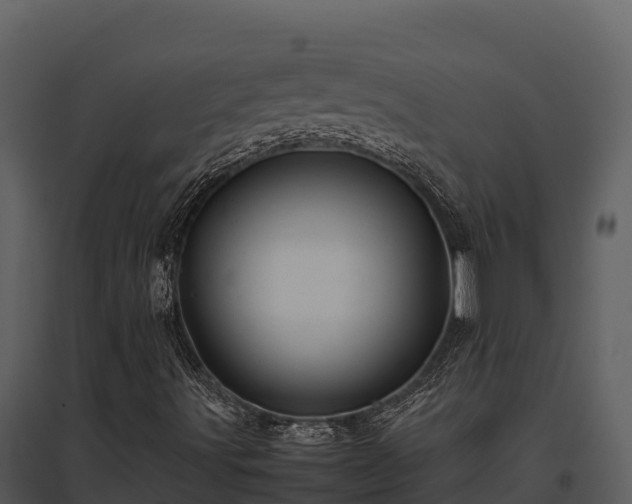 X0000095691491200801151136