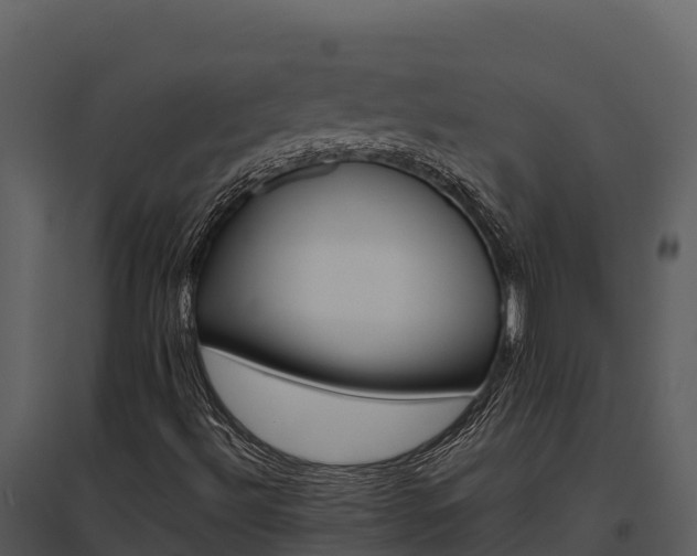 X0000095691492200801151136