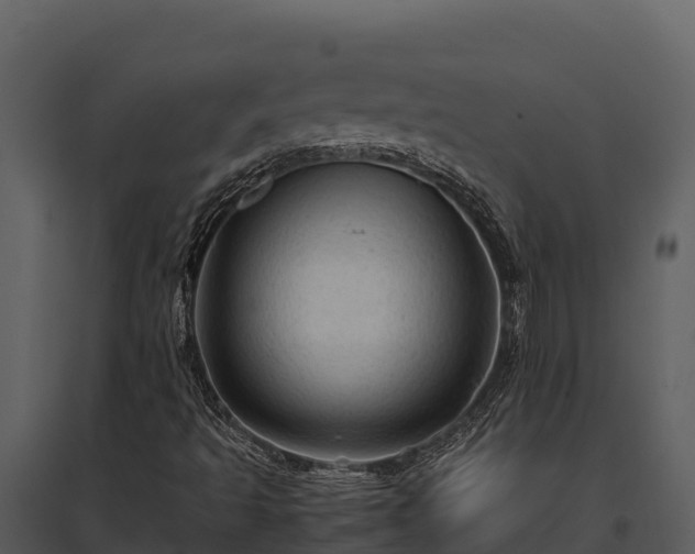 X0000095691493200801151136