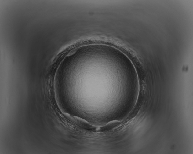 X0000095691494200801151136