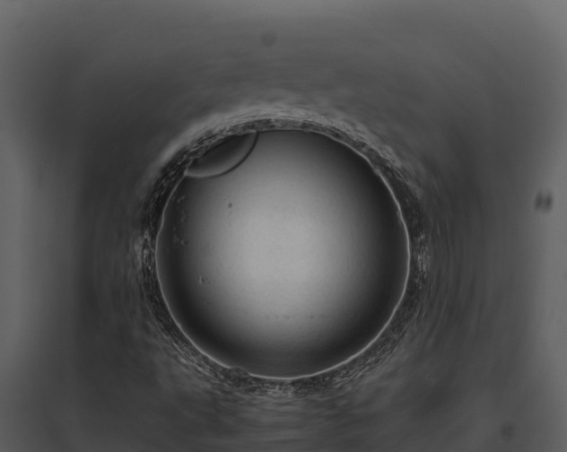 X0000095691495200801151136