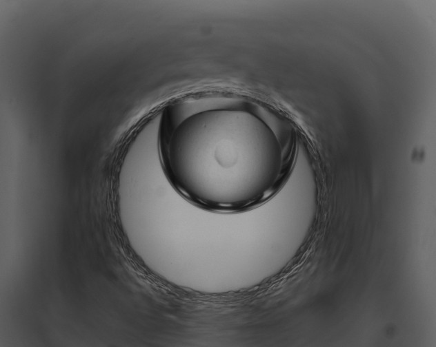 X0000095691496200801151136
