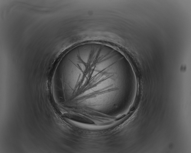 X0000095691497200801151136