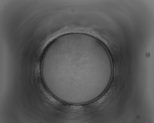 X0000095691498200801151136