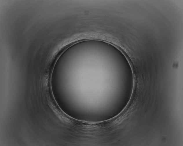 X0000095691499200801151136