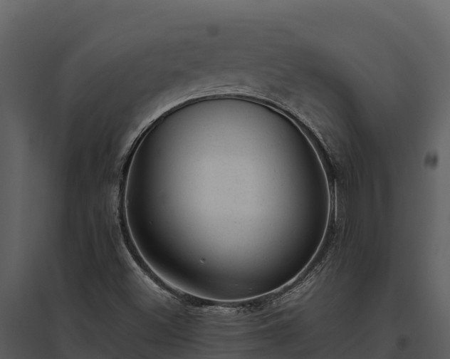 X0000095691500200801151136