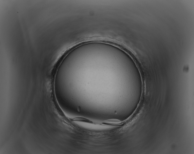 X0000095691501200801151136