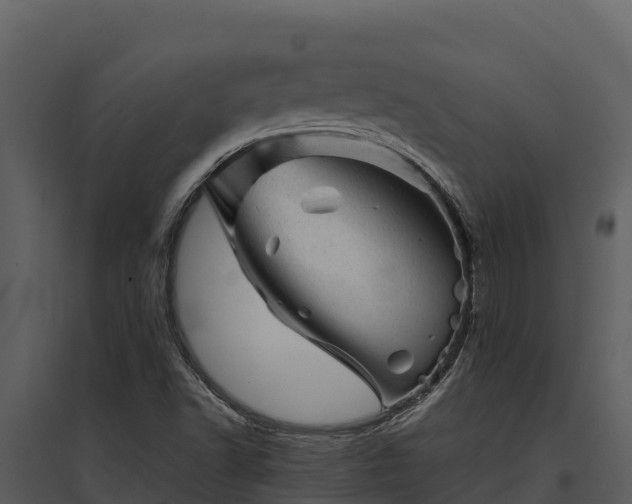 X0000095691502200801151136